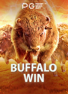 joker ฝาก วอ เลตสล็อต xo 168: ประสบการณ์การเล่นที่ไม่ควรพลาด